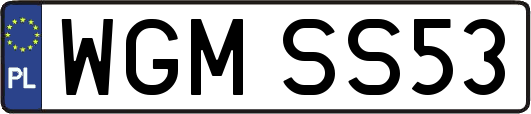 WGMSS53