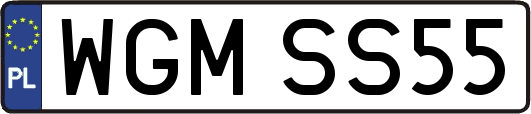 WGMSS55