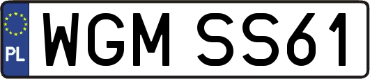 WGMSS61