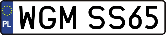 WGMSS65