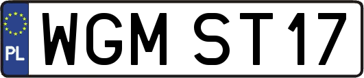 WGMST17