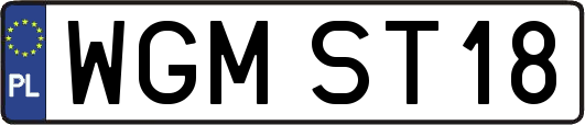 WGMST18