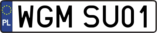 WGMSU01