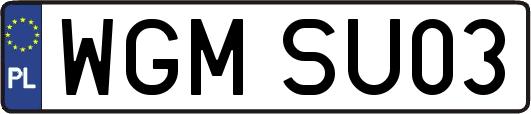 WGMSU03