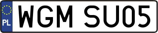 WGMSU05