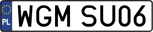 WGMSU06