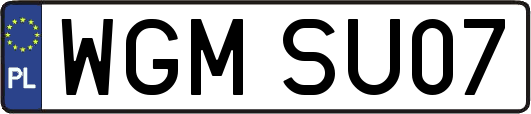 WGMSU07