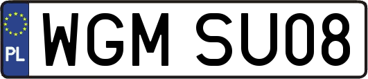 WGMSU08