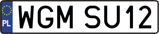 WGMSU12