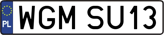 WGMSU13