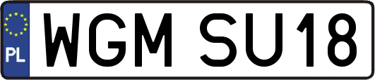 WGMSU18