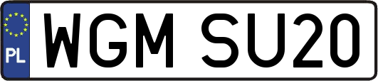 WGMSU20
