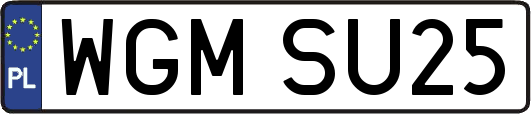 WGMSU25