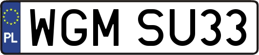 WGMSU33