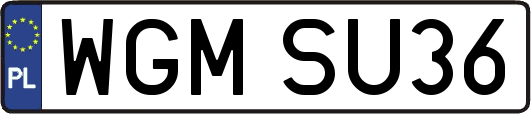 WGMSU36
