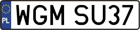 WGMSU37
