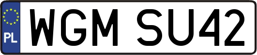 WGMSU42