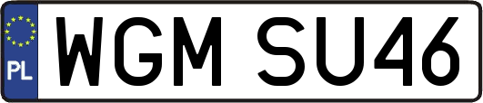 WGMSU46