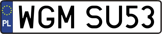 WGMSU53