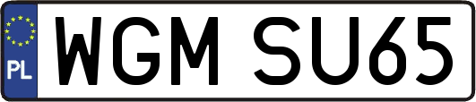 WGMSU65