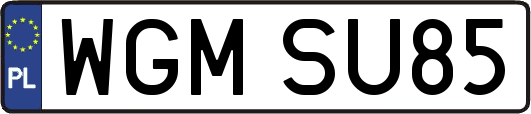 WGMSU85