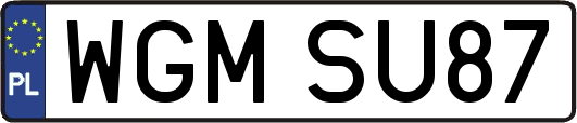 WGMSU87