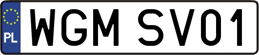 WGMSV01