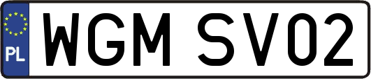 WGMSV02