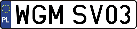 WGMSV03