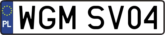 WGMSV04
