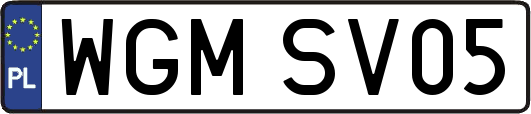WGMSV05