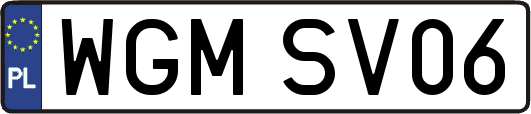 WGMSV06