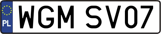 WGMSV07