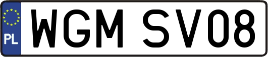 WGMSV08