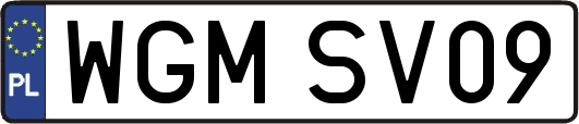 WGMSV09