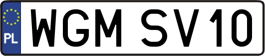WGMSV10