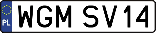 WGMSV14