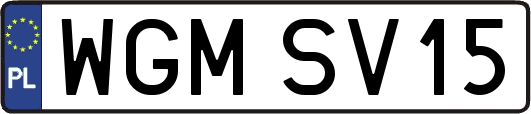 WGMSV15