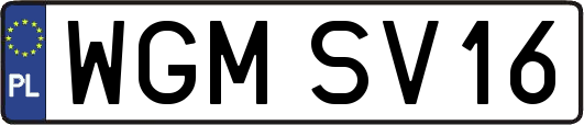 WGMSV16