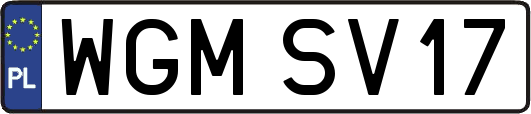 WGMSV17