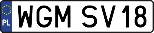 WGMSV18