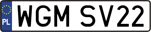 WGMSV22