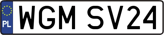 WGMSV24