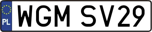 WGMSV29