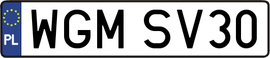 WGMSV30