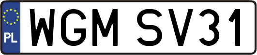 WGMSV31