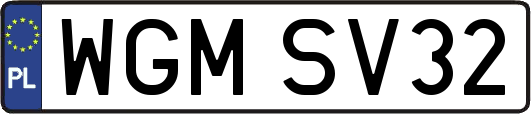 WGMSV32