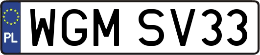 WGMSV33