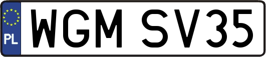 WGMSV35