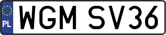 WGMSV36